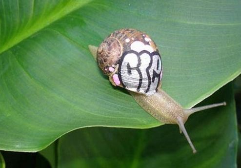 Slinkachu - Inner City Snail