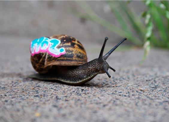 Slinkachu - Inner City Snail